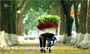 Hà Nội mùa nào đẹp nhất trong năm?